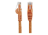 StarTech.com 100ft CAT6 Ethernet Cable, 10 Gigabit Snagless RJ45 650MHz 100W PoE Patch Cord, CAT 6 10GbE UTP Network Cable w/Strain Relief, Orange, Fluke Tested/Wiring is UL Certified/TIA - Framsidan